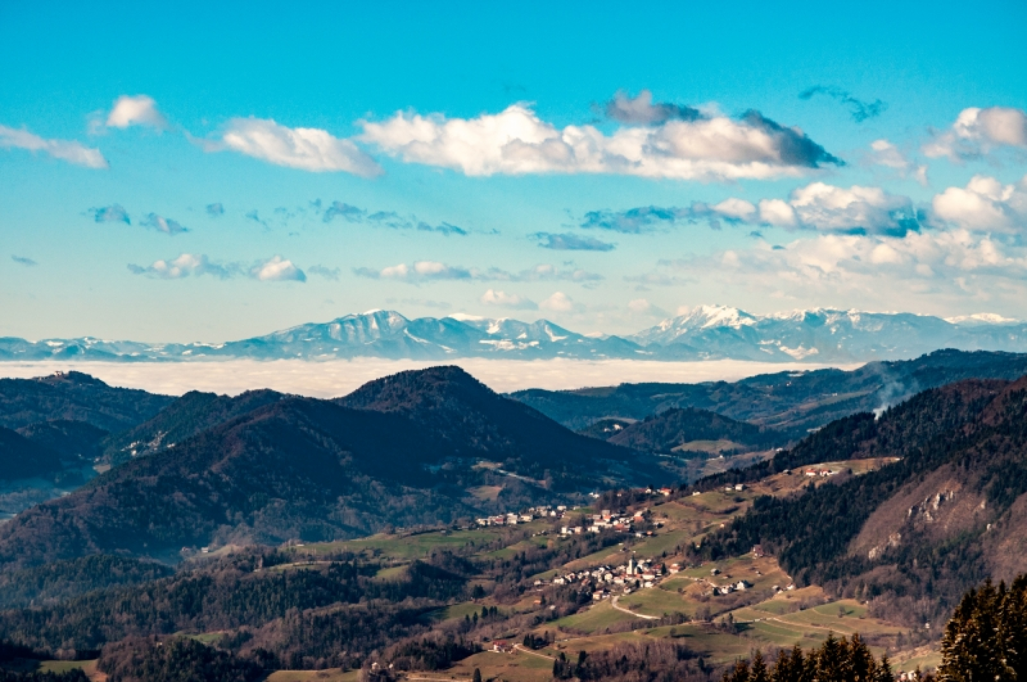 Podaljšan rok za oddajo vlog za vključitev v program Podjetno v svet podjetništva