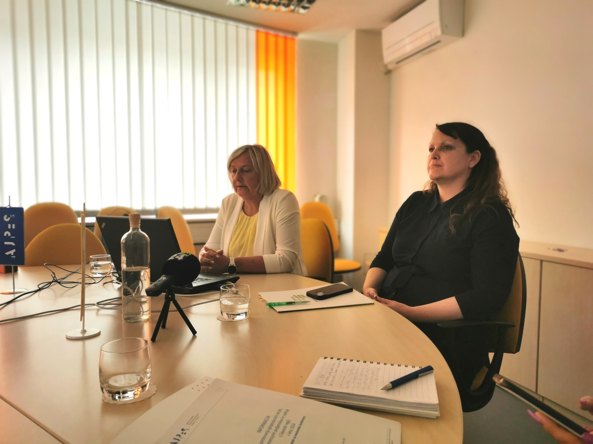 Poslovanje gospodarstva v Zasavju v letu 2024